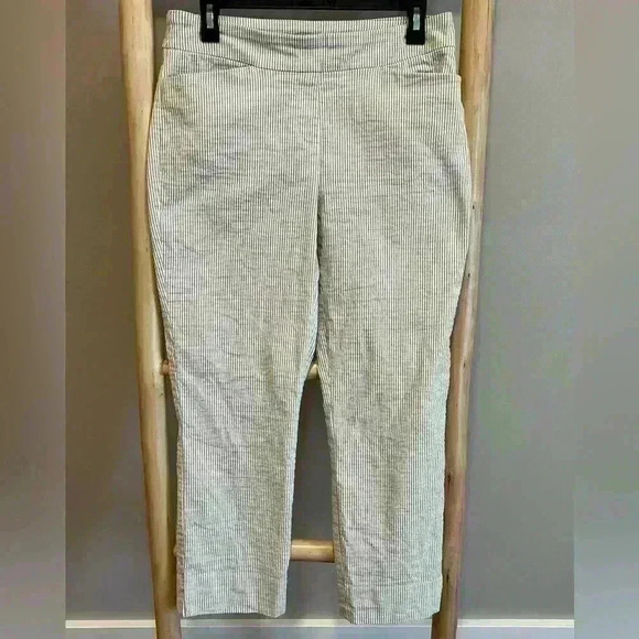 ✨Hilary Radley Women's Seersucker Pull-On Ankle Pants medium Blue Stripe Stretch - Picture 1 of 10